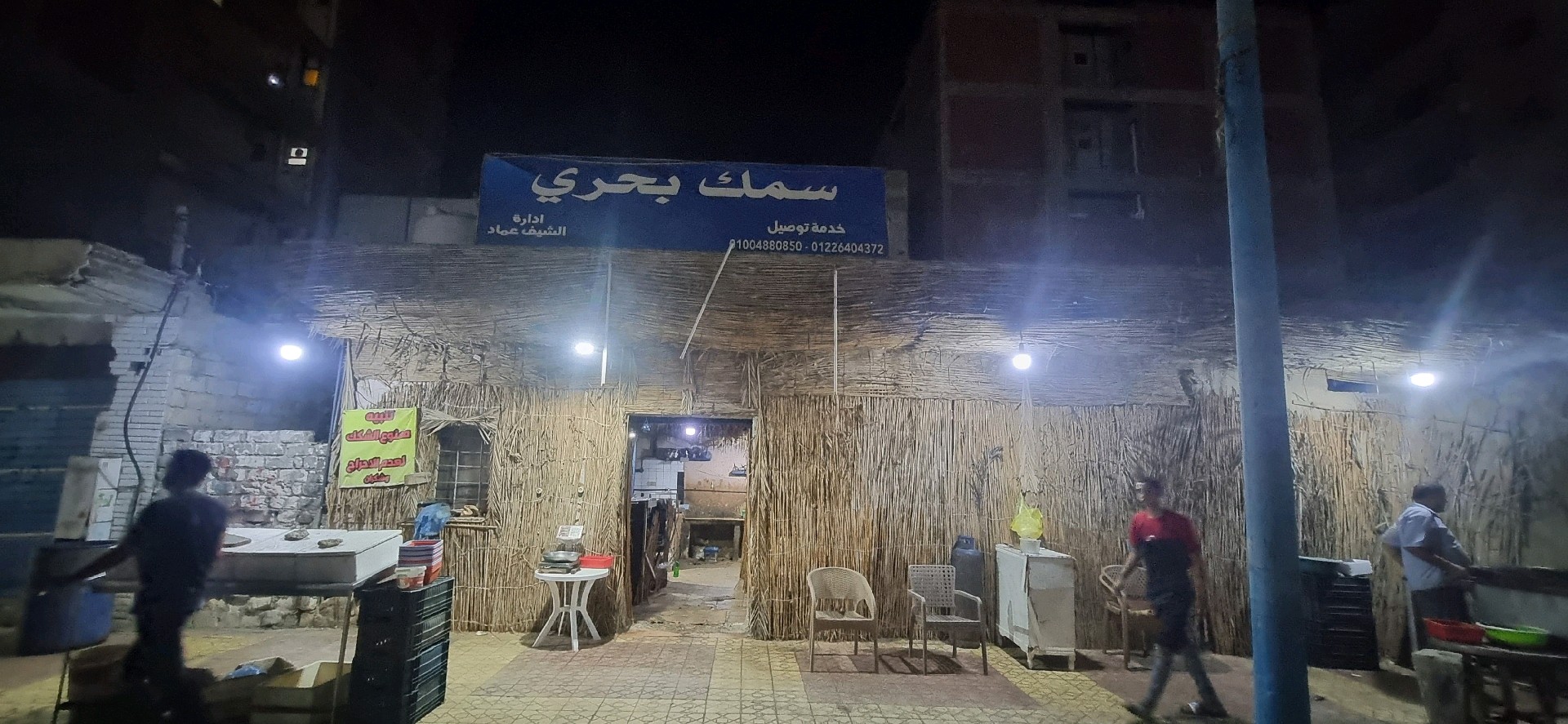سمك بحري
